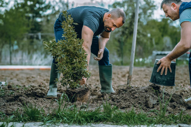 Lawn Watering Services in Water Mill, NY